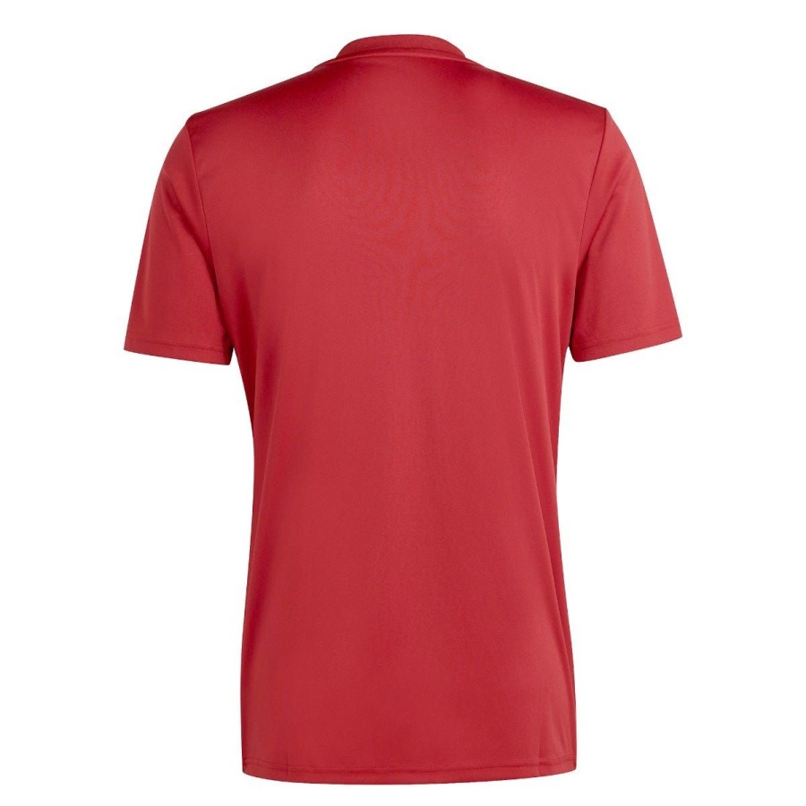 Allenament AS Roma T-Shirts E Polo | Maglia As Roma Pre-Match 2023/24, Uomo